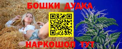 МДПВ Сланцы