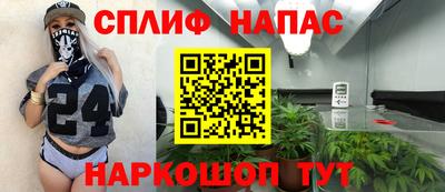 МДПВ Сланцы