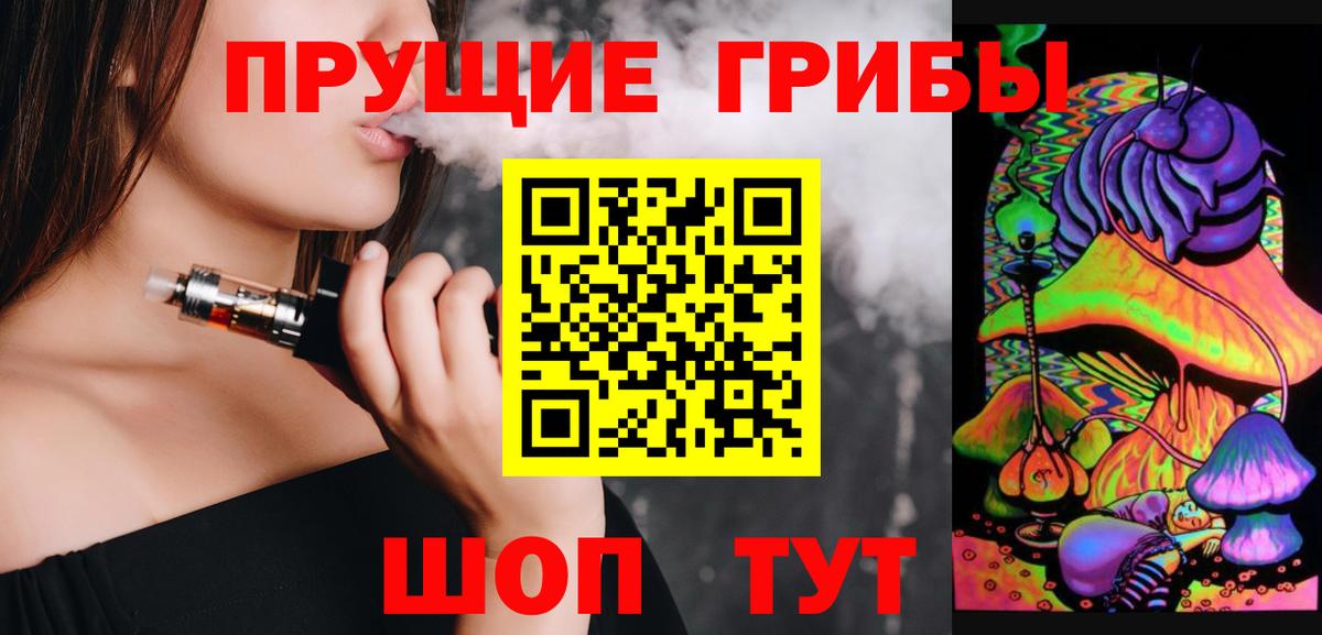 Асино  Псилоцибиновые грибы Psilocybine cubensis  Вход с VPN 
