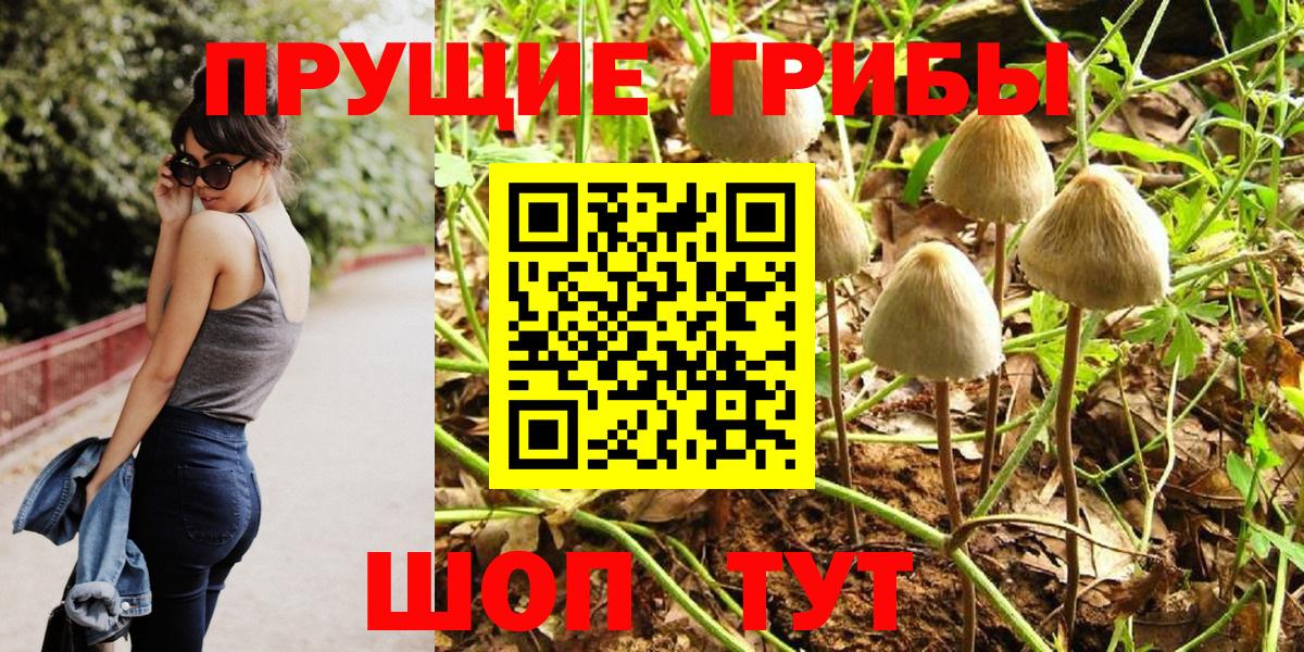 Псилоцибиновые грибы мухоморы Асино
