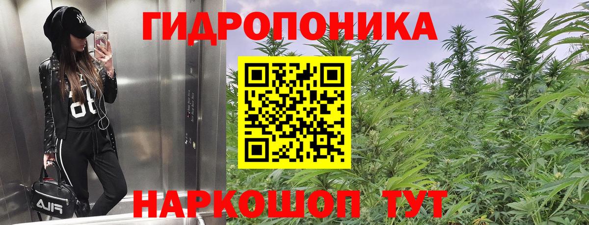 Бошки марихуана конопля  Вход с VPN  Асино  Шишки марихуана индика  Канабис MAZAR 